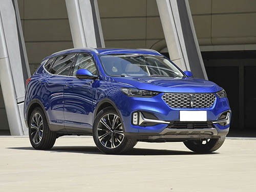 �L��VV6�������������{�������T����